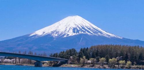 世界上最强的房东,富士山是他家的,日本政府需要每年向他交租金
