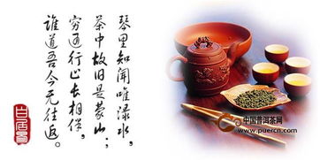 关于茶文化的XX3000字