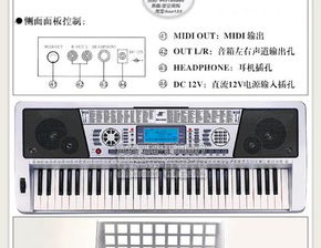 怎样才能自学弹电子琴 难不难