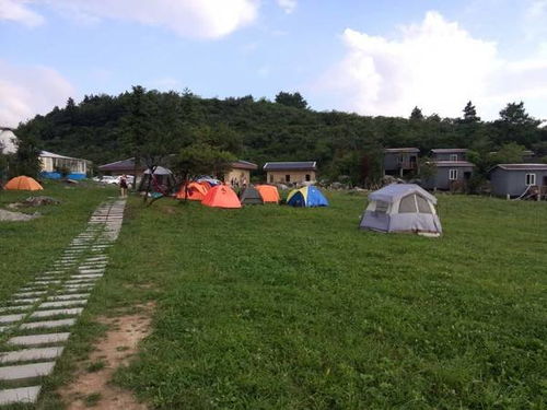 重庆露营地图该更新了,这个新建的露营基地不来感受一番吗
