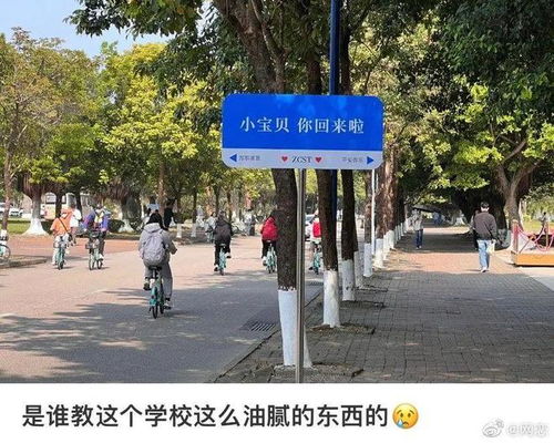 现在的路牌都这么不正经了