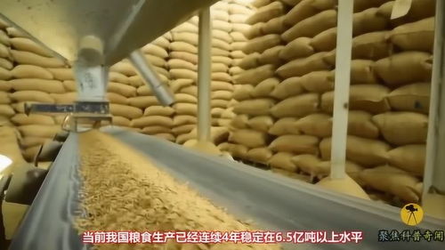14亿中国人每天消耗的粮食有多大 假如停产后,国库存粮能支撑多久 
