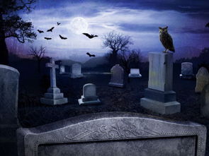 梦见墓地和墓碑