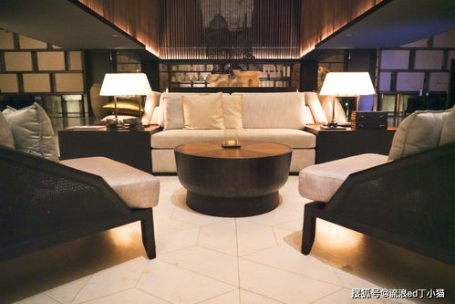 南京风水宝地上,有家七星级酒店,入住恍若走进博物馆,不可思议