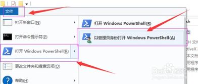 win10公司ocx控件安装