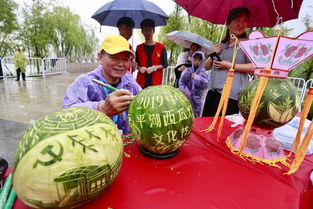 平湖明湖畔,欢乐刻瓜灯