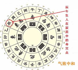 辰年出生之人 生肖属龙 家居风水布置要点 