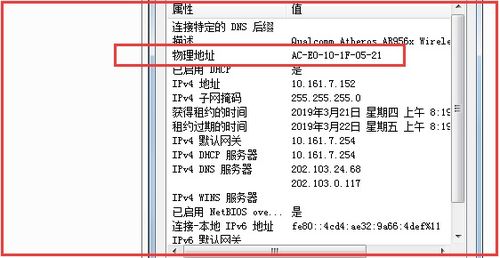 win10 系统怎么查物理地址 