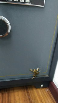 青蛙来到二楼的办公室保险柜上是什么兆头 