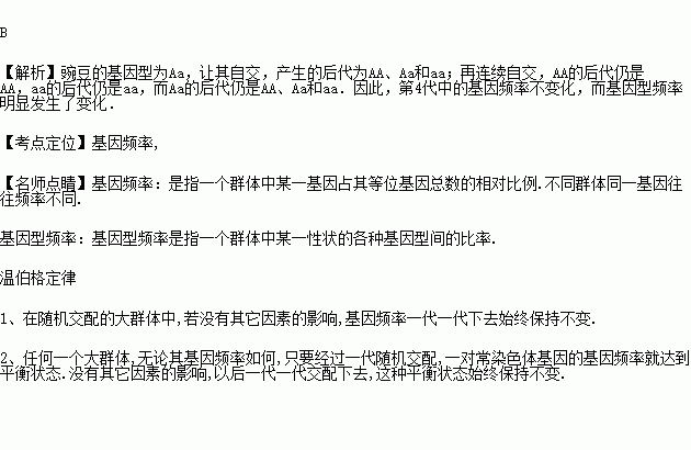 某豌豆的基因型为Aa.让其连续自交三代 遗传符合按孟德尔遗传定律 .其第4代中的基因频率和基因型频率变化情况是 A.基因频率变化.基因型频率不变B.基因频率不变化 