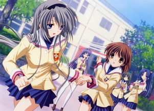 关于clannad 米粒分享网 Mi6fx Com