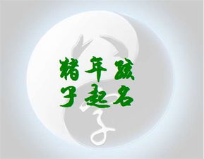 姓杜猪宝宝男孩,帮宝宝起个名字