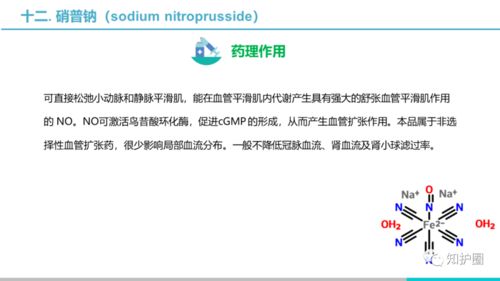 查重通过率的重要性及意义