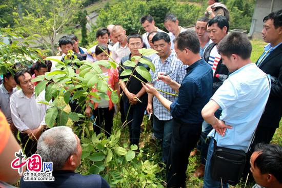 广元 旺苍首批77名农民工获中级农艺工资格证 