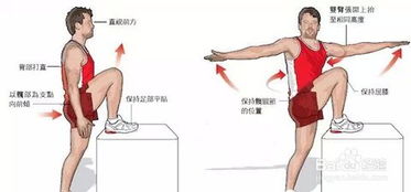 怎么做肌肉拉伸运动 史上最全拉伸动作指南