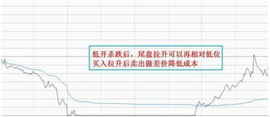 美林证券股票投资平台是可以做A股T+0吗?