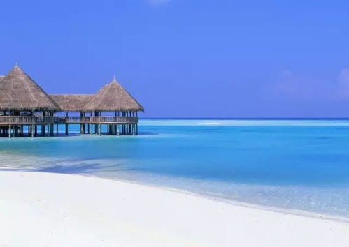 马尔代夫多钱旅游 马尔代夫一周双人游费用（马尔代夫一日游多少钱）