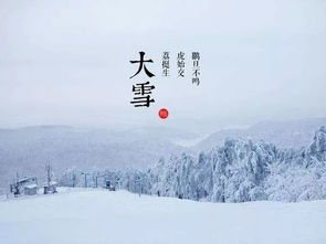 敬一丹 大雪 万树琼花一夜开,都和天地色皑皑