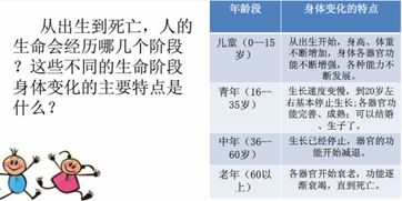 从出生到死亡,人的生命会经历哪几个阶段 在这些不同的生命阶段中身体变化的主要特点是什么 主要阶段,主要特点 