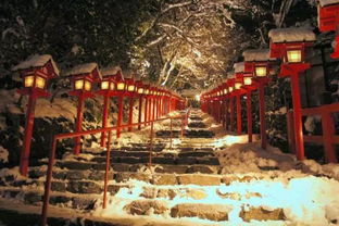 不亲眼看看,你永远想不到京都的雪可以让人多么心醉