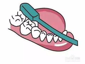 刷牙的步骤
