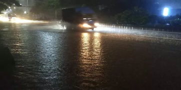 暴雨再倾城 大雨中,这些人的身影温暖了白坭