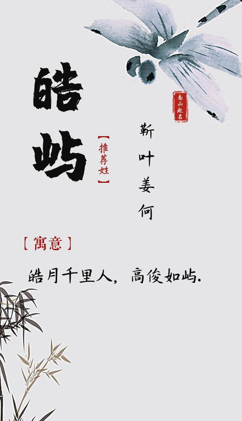 翩翩君子,不凡风度的男孩的名字