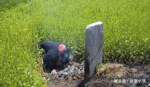 男子每月上坟带只烧鸡,母亲却托梦说饿,得知真相后男子蒙住