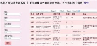 查开房 网站仍可使用 北京警方着手调查 