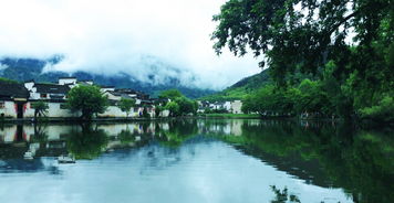 什么带雨晚来急，野渡无人舟自横，什么带雨晚来急野渡无人舟自横古诗