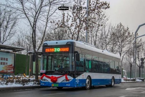 成都九里提到王假坐几路公交车(成都九里堤南路免费停车场)