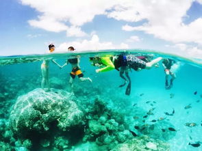 马尔代夫旅游业给你一个不一样的海洋世界（马尔代夫海滩）