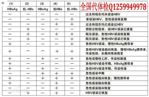 成都市成华区2016小学教师公招考试总成进入体检人员名单一览表 