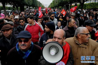 突尼斯民众举行游行 抗议 恐怖分子 潜回国 