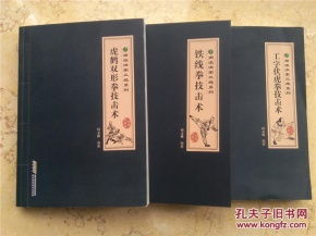 南派洪家三绝系列全套共3册 工字伏虎拳技击术 铁线拳技击术 虎鹤双形拳技击术