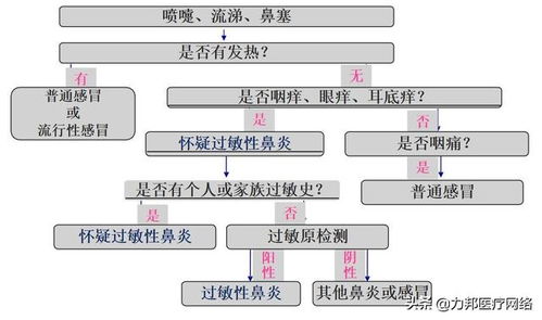 中国高校查重标准与流程