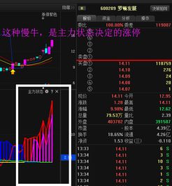 每天一点以后直线拉升的股票去哪里找