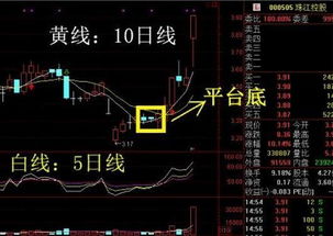 头天放量涨停没封住，第二天放量下跌，收中阴线，是好是坏，股价还在五日线之上。