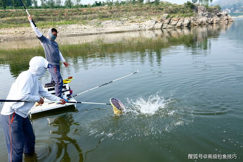 气压变化对钓鱼有影响吗 谈谈气压变化对钓鱼的重要影响