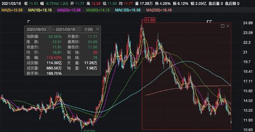 CXO在公司是什么职务?