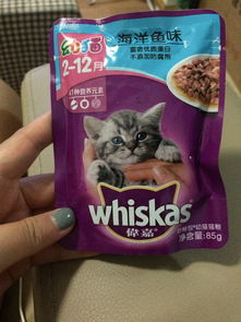 小猫最近两天不吃猫粮了是怎么回事 