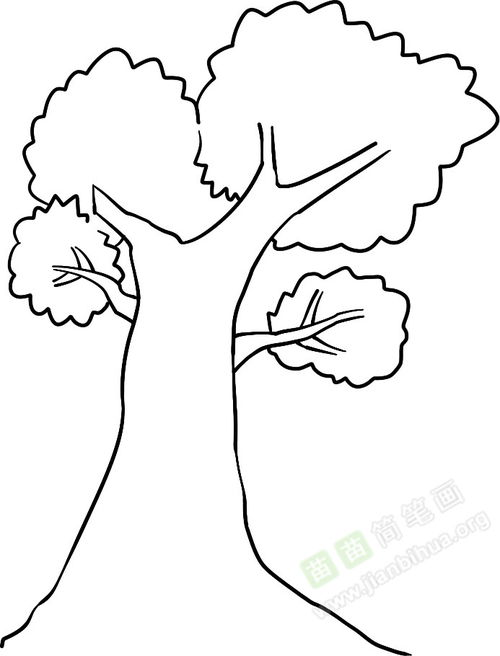 茂盛的树简笔画图片教程 