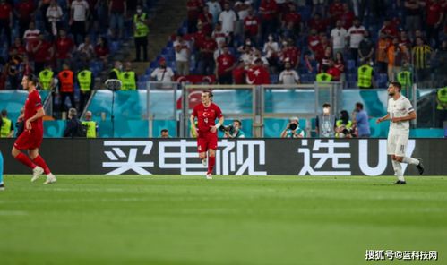 外国人 紧急求助 欧洲杯赛场上的汉字写的啥