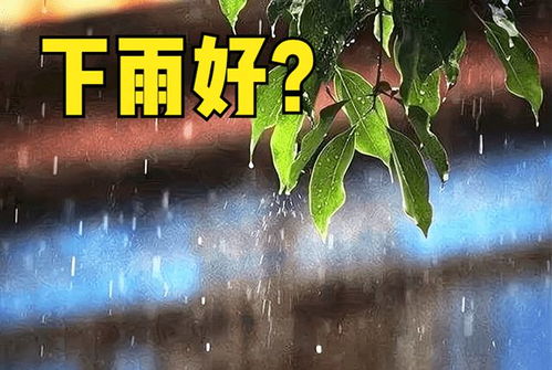 立秋下雨好吗(立秋晴天和下雨各有什么区别)