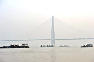 数十非法采砂船盘踞武汉江段 或威胁二七大桥安全 