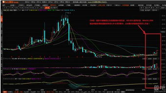 海油工程股票我现在持有20000股。7.16成本。后势如何会涨吗？到什么价？