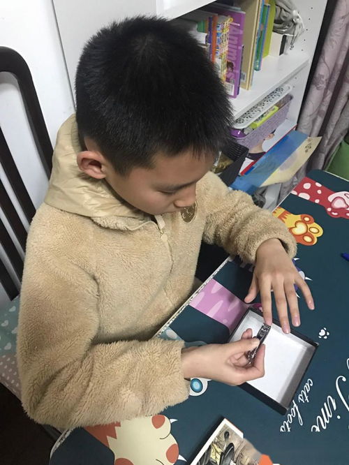 劳动最快乐 鼠 我最 来赛 孙桥小学2019学年度三年级劳动节活动掠影