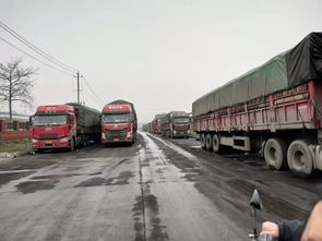 东莞凤岗龙凤山路段怎么收费的(东莞凤岗大货车停车场收费标准)