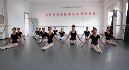 广东舞蹈学校学费