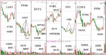 碎阳 第12期